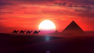 骆驼火车在夕阳中穿越沙漠。高清视频素材模板下载