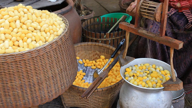 煮蚕茧，泰国。