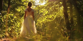 美丽的新娘穿着年轻女子步行森林自然阳光
