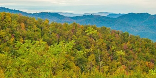 Panning Over Layered Smoky Mountains with Fall Colored Trees