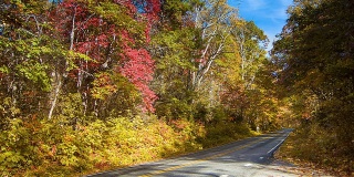 在大烟山的秋天行驶在风景优美的276号公路上