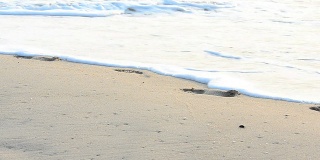 沙滩上的脚印。