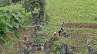 农民们在梯田里干活视频素材模板下载