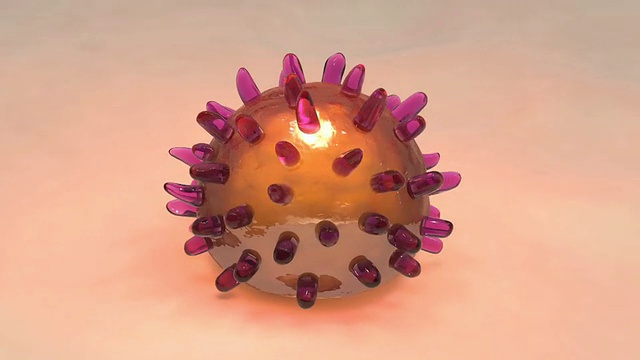 禽流感病毒(h5n1)