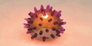 禽流感病毒(h5n1)