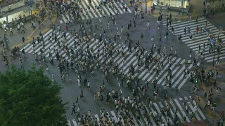 日本东京著名的涉谷十字路口视频素材模板下载