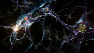 从突触中的神经元到人脑。Loopable。生物学。视频素材模板下载