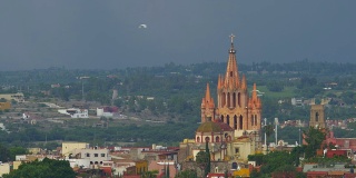 城市的帕罗基亚教堂在圣米格尔德阿连德日落与白鹭