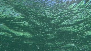 水面上荡漾着涟漪和阳光的反射视频素材模板下载