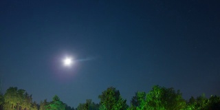 月亮在星空和树木的背景下从地平线上升起