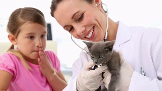 小女孩看着兽医检查她的小猫视频素材模板下载