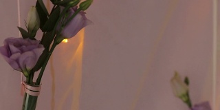 玫瑰花环灯的背景