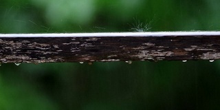 雨滴落在木头上