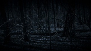 在黑暗的森林里迷路了。视频素材模板下载