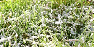 清晨的霜在草上融化，时光流逝