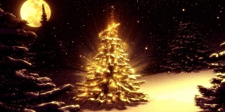 温暖的冬季景观与圣诞树装饰的北极星。