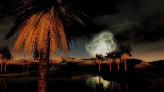 满月日落沙漠绿洲与棕榈树和沙丘视频素材模板下载