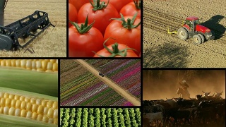 农业、视频剪辑视频素材模板下载