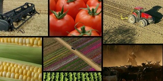 农业、视频剪辑