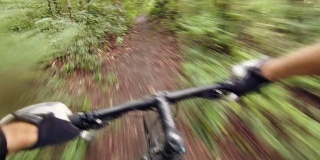 山地自行车速度，个人视角自行车