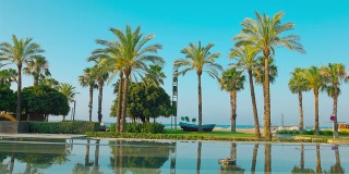 棕榈树，海滩和湛蓝的天空，在西班牙的萨罗