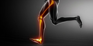 跑步的人专注于腿部关节