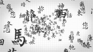 中国书法在白色缩放在可循环的全高清视频素材模板下载