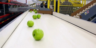 生产中的苹果
