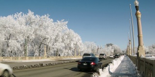冬天的交通桥上有霜冻的树木