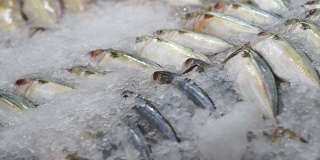 在市场上冰冻的鲜鱼