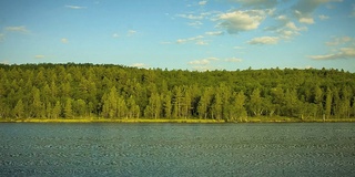 从森林覆盖的岸边看到的夏天的湖景