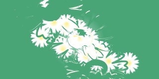 束菊花。动画。