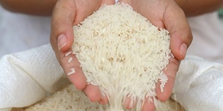 农民妇女手里拿着生米。
