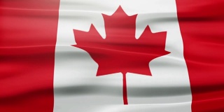 挥舞着加拿大的国旗