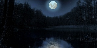 晚上月亮在湖面上。