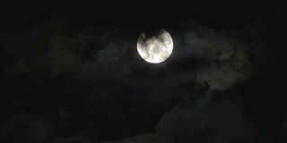 在树和云上面的夜空中满月