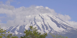 日本山梨县富士山的春天景观