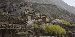 原藏石村