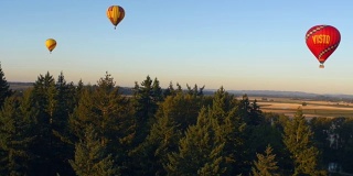 热气球飞过树林