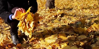 Happy girl in autumn park throws yellow fallen leaves