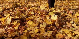 在秋天的森林里，快乐的女孩在铺满黄叶的地毯上说话
