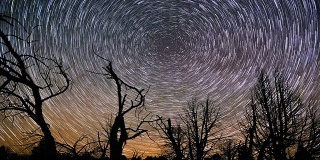 美丽的夜星轨迹围绕着北极星在森林上空旋转
