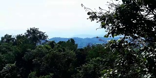泰国北部的森林景观