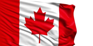 加拿大国旗(环)