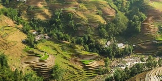 越南北部的梯田稻田