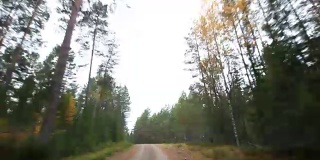 在森林里开车
