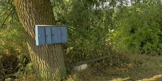 俄罗斯村庄里的邮箱