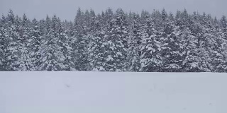 孤独的人在粉末雪地里玩雪地摩托
