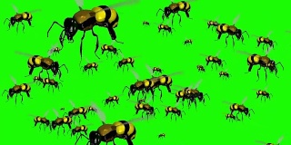 蜂群在绿屏背景上飞行