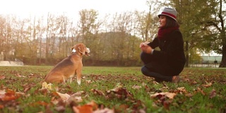 秋天的慢镜头:戴帽子的女士驯服她的小猎犬